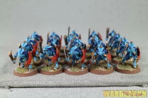 Warhammer AOS WDS painted Seraphon Saurus Warriors q39 - Picture 1 of 10