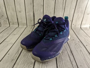 Adidas Jeremy Lin PE Player Exclusive Sample Shoes Linsanity NBA 11.5 AH1155 - Picture 1 of 19