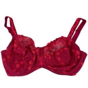 Prima Donna Semi-Sheer Lace Bra 32H Bright Pink Underwire Embroidered Sexy GUC - Picture 1 of 7