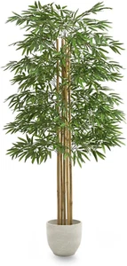 Bambù | Bambù Artificiale | Piante Finte | Misure: 180 Cm | Piante Finte Da Inte - Foto 1 di 12
