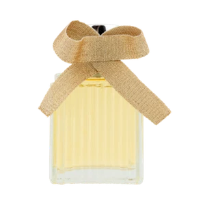 Designer Brands Classic for Women EDP 100ml Fragrance Perfume - Picture 1 of 1