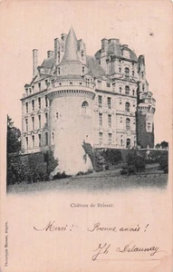 49 BRISSAC QUINCE CHATEAU DE BRISSAC - Picture 1 of 2