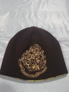 ✅️Harry Potter Draco Dormiens Beanie Hat Stocking Cap Adult One Size Reversible - Picture 1 of 6