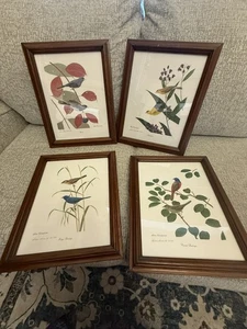 Lucien Harris III 1985 4 signierte Drucke Buntings, Finches, Indigo, Junco 262/950 - Bild 1 von 16