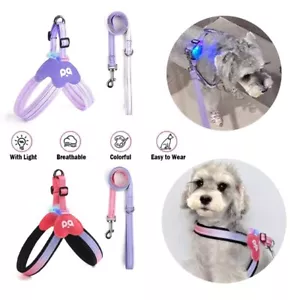 No Pull Dog Harness & Leash Set – LED, Adjustable, Reflective Vest, 2 Color - Picture 1 of 10