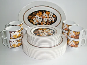 Oneida Ware Melmac Melamine 25 Dinner Lunch Plates Platter Cups 70's Feel Autumn - Picture 1 of 21