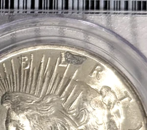 1923 P Peace Dollar Obverse Struck Thru Error PCGS MS63 Lustrous Beauty - Picture 1 of 10