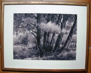 JOLIE AQUARELLE "SOUS BOIS" PAR F. CORSON - Picture 1 of 4