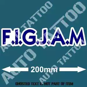FIGJAM FUNNY Decal Sticker BUMPER CAR TRUCK RALLY DRIFT GARAGE DECALS STICKERS - Bild 1 von 1