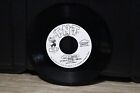 SCOTT LUDWIG / LET IT SNOW SQUARE DANCE 45 RPM RECORD...PERKY