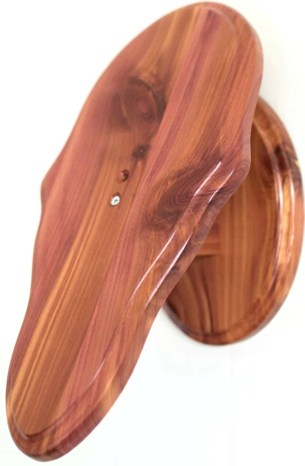 Cedar Deer European Skull Mount Wall/Table Pedestal for Deer - Image 1 of 1