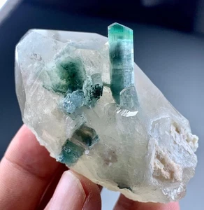 Hermoso espécimen de cristal de turmalina sobre cuarzo de 448 quilates de Afganistán - Imagen 1 de 5