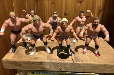 WCW Galoob Lucha Libre Figura Lote De 12 Luchadores De Colección WWE Set Reino Unido Sting Sid NWA Foto 1 de 4