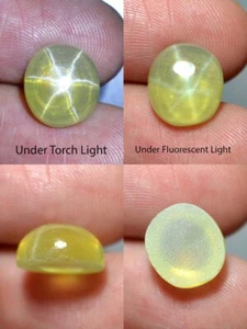 8.40 Ct 11.7x10.5 MM Yellow Star Sapphire 6 Rays Lab Corundum YS8156 - Picture 1 of 6