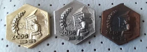 Bee bees ZSDC 1898/1978 Union of beekeeping societies of Slovenia pins - Picture 1 of 1