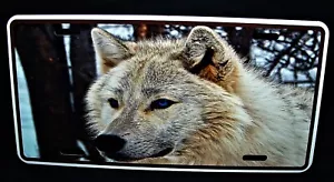 WOLF EYES METAL NOVELTY CAR LICENSE PLATE AUTO TAG - Picture 1 of 15