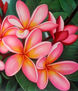 Plumeria Flores MODERNO Decoración del Hogar Arte de Pared Pintado a Mano Pintura al Óleo sobre Lienzo - Imagen 1 de 6