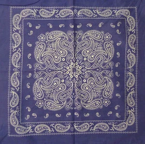 1xCotton Paisley Bandana in blue (55cm x 55cm) Durag/head wrap. NWT - Bild 1 von 4