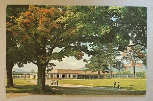 WALTON New York NY Central School vintage chrome postcard - Picture 1 of 2