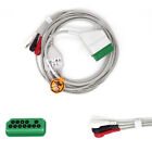 Câble ECG/EKG réutilisable à 3 fils 12 broches type snap convient pour Nihon Kohden4101