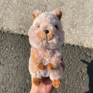 Adorable Vivid Quokka Juguetes de Peluche Marrón Animal Muñeca de Peluche Niños Regalos de Cumpleaños 16 cm - Imagen 1 de 9
