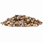 AQUARIUM NATURAL PEA GRAVEL 25KG FISH TANK SUBSTRATE KOI GARDEN POND (NOT 20KG)