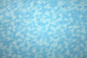 BUSYBEE FLANNEL IN BLUE FROM NORTHCOTT - 100% COTTON FABRIC - Picture 1 of 3