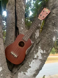 Rogue RU12 Acoustic Ukelele Dark Brown comes With Tuner You Blow In - Picture 1 of 8