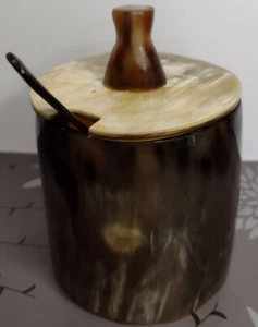 Bull horn cow steer longhorn Dishware Sugar salt Spoon Lid Bone Art Container - Bild 1 von 6