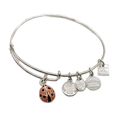 Alex and Ani Lady Bug Orange Charm Bangle Bracelet Rafaelian Silver Finish - Image 1 of 4