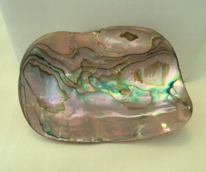 RARE FREE STYLE HANDCRAFTED LARGE ABALONE SHELL BELT BUCKLE #VA - Picture 1 of 3