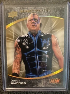 1/1 2021 AEW Upper Deck Spectrum Dustin Rhodes - Picture 1 of 2