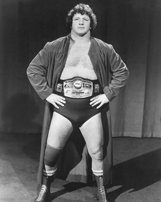 Póster impreso de campeón luchador TERRY FUNK brillante foto 8x10 lucha libre NWA Foto 1 de 1