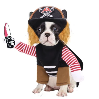 Pirates Turned Into Weird Pet Dogs Cats Halloween Day Costumes Foto 1 de 4