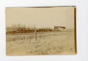 Durban, Manitoba  Stockyard & loading platform  vintage snapshot photo - Imagen 1 de 3