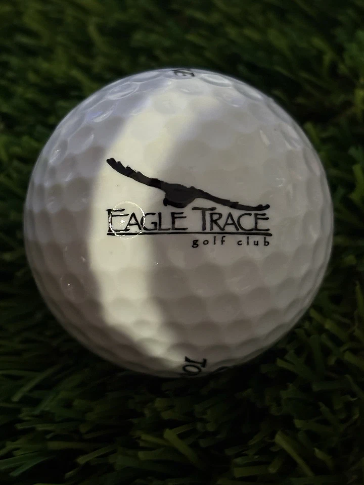 Eagle Trace Golf Club Logo Golf Ball- Broomfield Colorado CO - Image 1 of 1