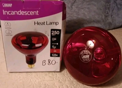 1 Feit Electric Heat Lamp Red Light Bulb 250W 120V DIMMABLE 250R40/R/HDRP - Image 1 of 3