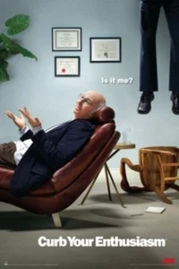 Poster Curb Your Enthusiasm Larry David - Picture 1 of 1