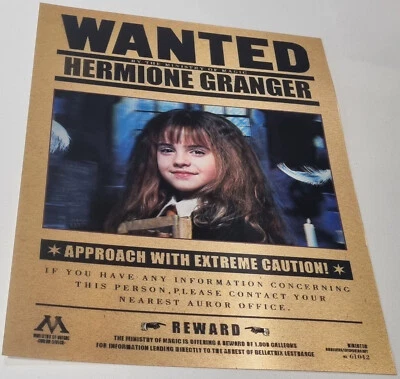 Harry Potter 3D Lenticular 60cmx40cm Unframed Print Poster - Granger Weasley - image 1 of 3
