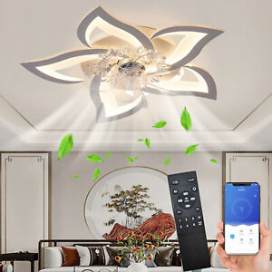 Ceiling Fan with Lighting,Creativity,Quiet,Dimmable Fan Light(White, 60 Cm)