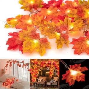 MUSCCCM Stringa Luci Foglia d'Acero Luce Scintillante Illuminazione da Appendere Decorazioni per - Foto 1 di 7