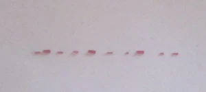 Roller Jewels "D" Style NOS for American PW sortiert 10/ Lot - Bild 1 von 2