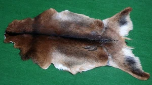 New Goat hide Rug Hair on Area Rug Size 36"x20" Animal Leather Goat Skin G-442 - Picture 1 of 3