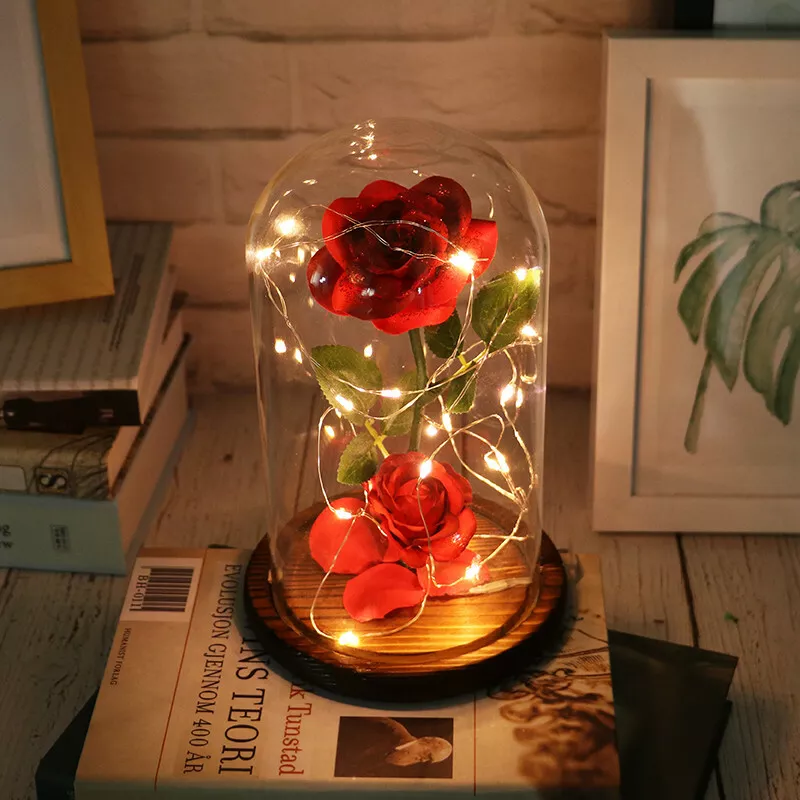 Romantic LED Light Gift For Mothers Day Mom Girlfriend Wife Rose Birthday Gifts