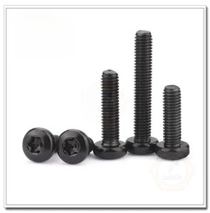 Torx screw Bolt Black 304 stainless M1.6 M2 M2.5 M3 M4 M5 M6 M8 Security Bolt - Picture 1 of 12