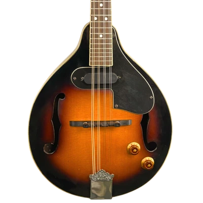 Rogue RM110AE Acoustic-Electric A-Style Mandolin (Used) - Image 1 of 4