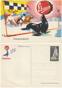 PUBBLICITARIA - EBANO - LUCIDO PER SCARPE - BOLOGNA -10442- - Foto 1 di 1