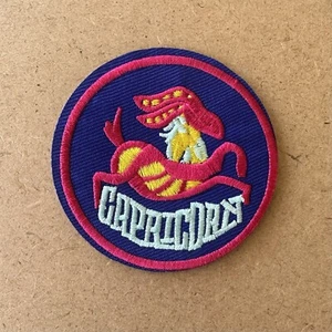 CAPRICORN Embroidered 3" Round Iron-on Patch ~ Retro Zodiac Sign Constellation - Picture 1 of 3