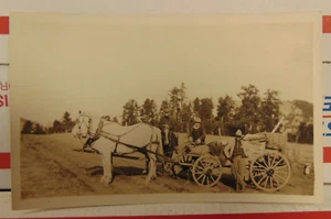 VINTAGE CUSTER SOUTH DAKOTA AREA COWBOY HORSE WAGON WILD WEST POSTCARD RPPC - Picture 1 of 4
