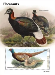 PHEASANTS Pheasant Game Birds/Bird MNH 1v-Stamp Sheet #2116 (2022 Sierra Leone) - Picture 1 of 1